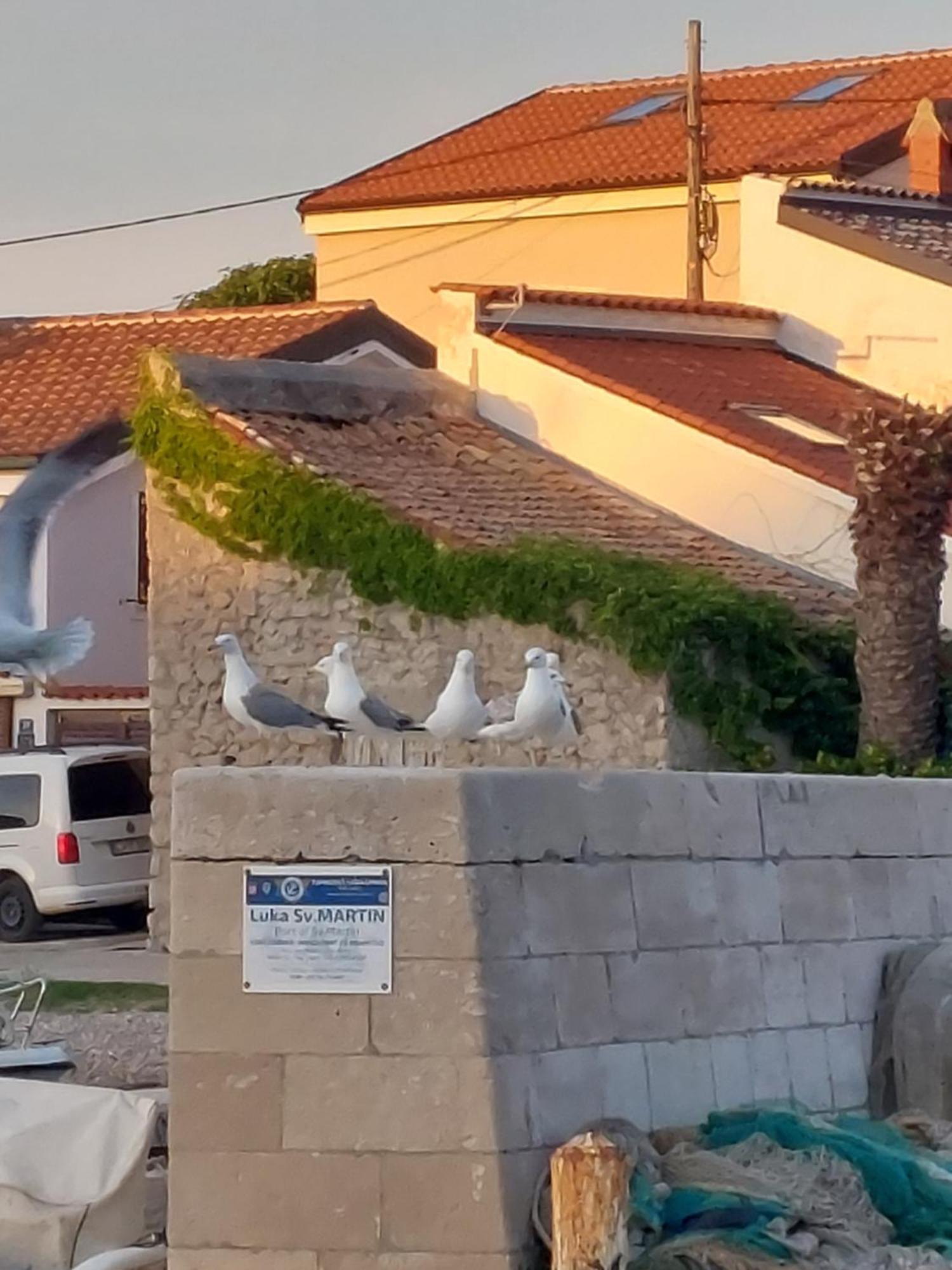 Apartments Suncica Mali Lošinj Exteriör bild