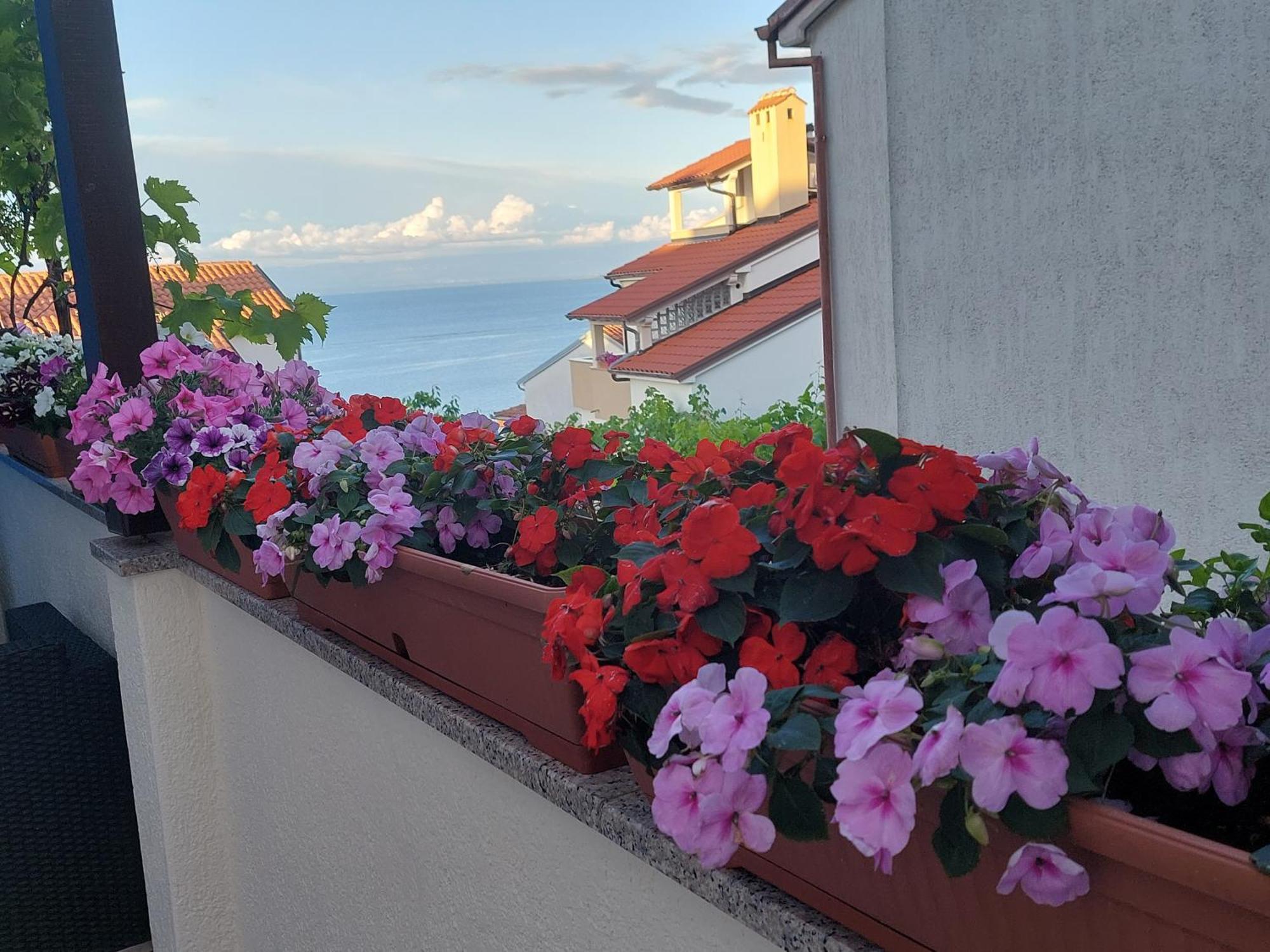 Apartments Suncica Mali Lošinj Exteriör bild