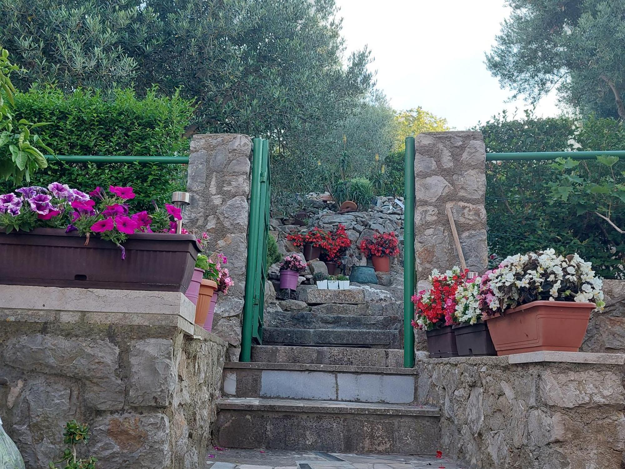 Apartments Suncica Mali Lošinj Exteriör bild
