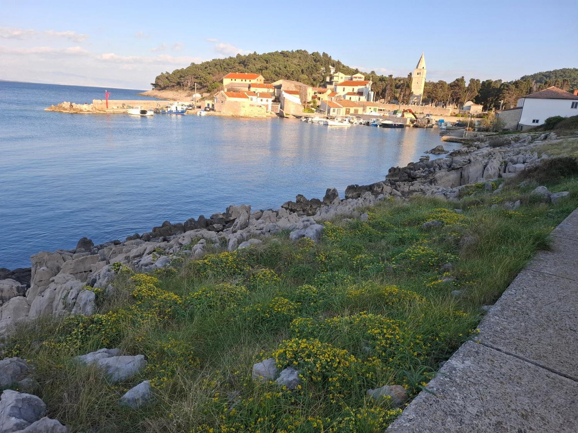 Apartments Suncica Mali Lošinj Exteriör bild